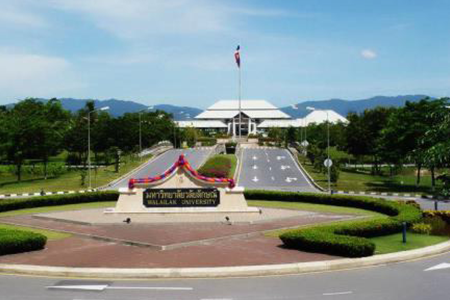 โครงการ มหาวิทยาลัย วลัยลักษณ์